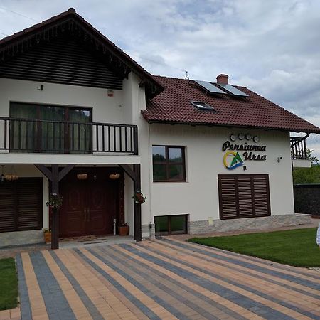 Pensiunea Ursa Otel Bistrita Bargaului Dış mekan fotoğraf